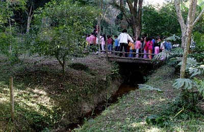 Viveiro_400