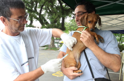 A campanha na zona urbana do município começará pelos bairros Panorama, Didinha, Vista Verde, Jardim São Paulo, Jardim Paulistano, Bandeira Branca, São Silvestre, Vila São João e Porto VelhoCrédito: Valter Pereira/PMJ